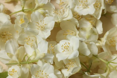 Photo of Many aromatic jasmine flowers on beige background, above view