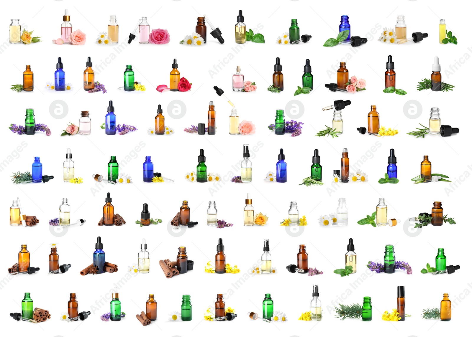 Image of Set with bottles of different essential oils on white background