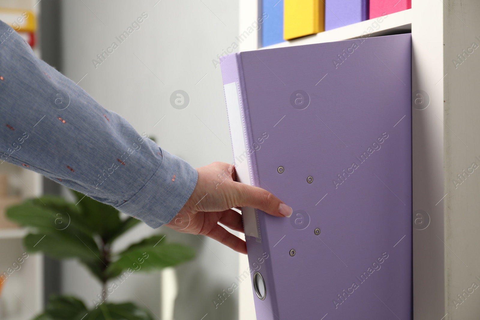 Photo of Woman taking binder office folder from shelving unit indoors, closeup