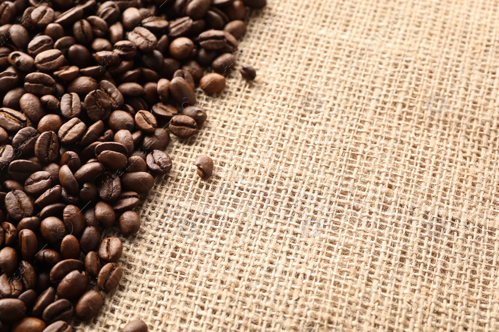 Photo of Many coffee beans on burlap fabric, closeup. Space for text