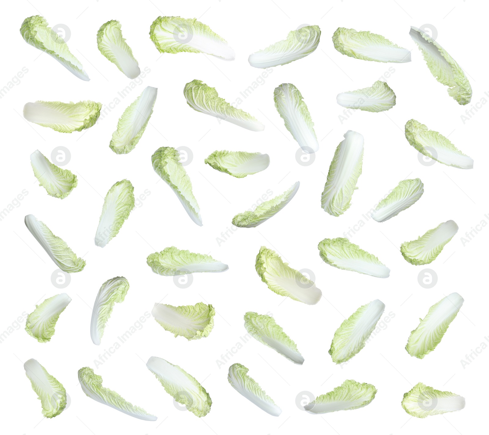 Image of Set with fresh leaves of napa cabbage on white background