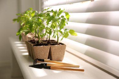 Photo of Gardening tools and green tomato seedlings in peat pots on white windowsill indoors