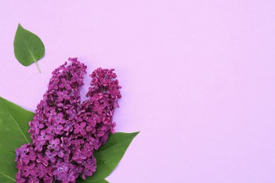Photo of Beautiful lilac flowers and green leaves on pale purple background, top view. Space for text