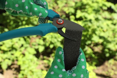 Photo of Person sharpening pruner outdoors, closeup. Gardening tools