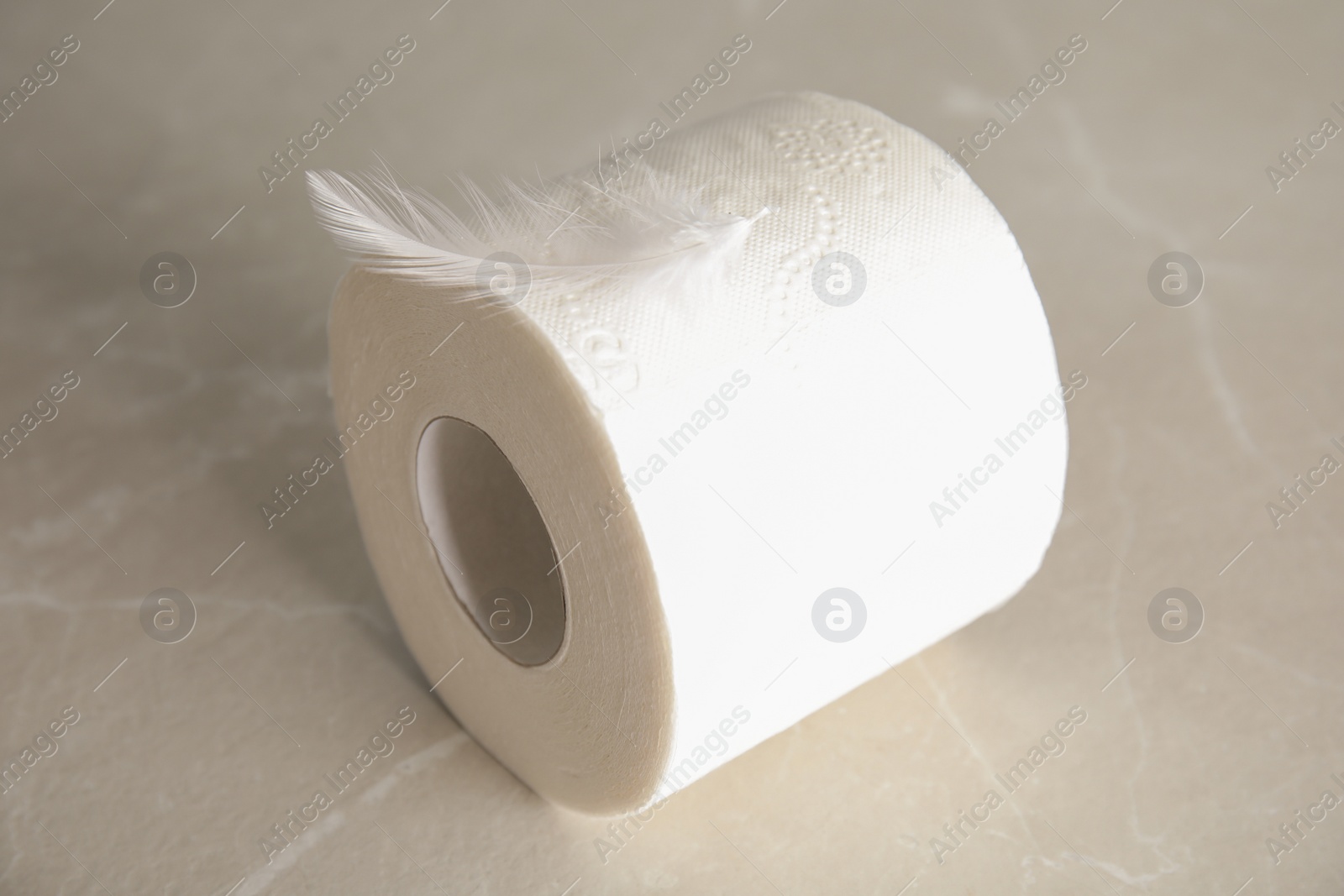 Photo of Toilet paper roll with feather on grey background