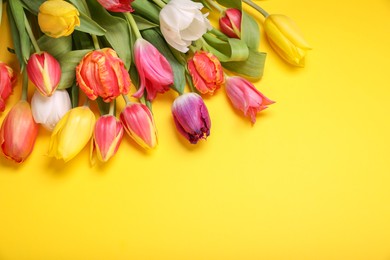 Photo of Beautiful colorful tulip flowers on yellow background, flat lay. Space for text