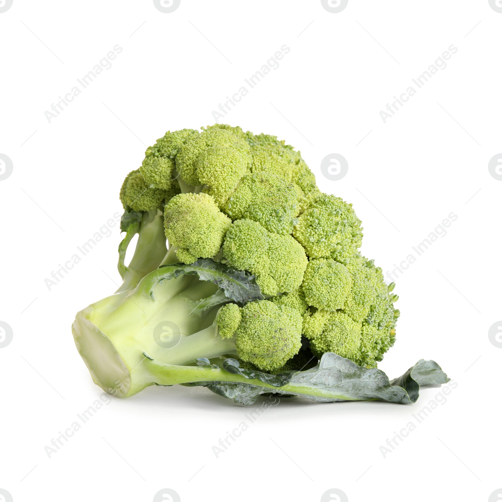 Photo of Fresh raw green broccoli isolated on white