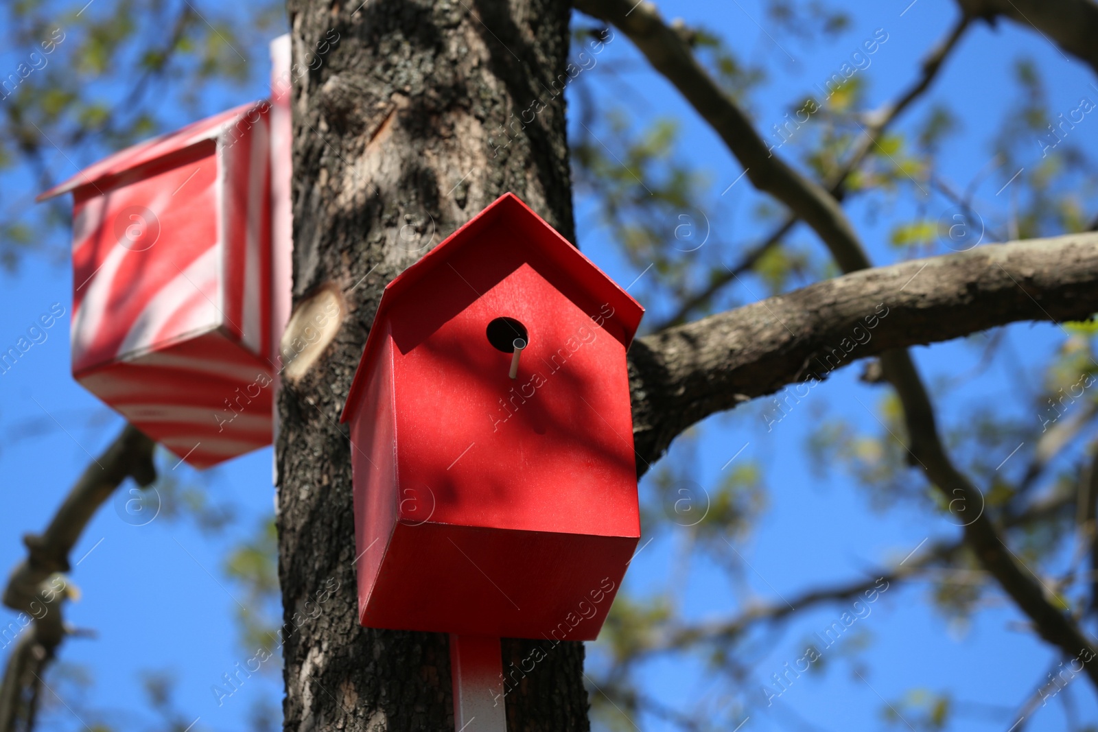 Photo of Red and white bird houses on tree outdoors