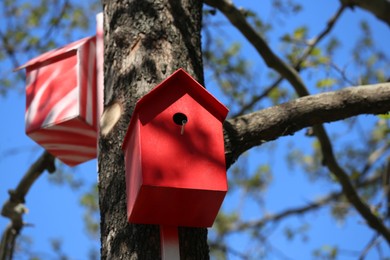 Red and white bird houses on tree outdoors