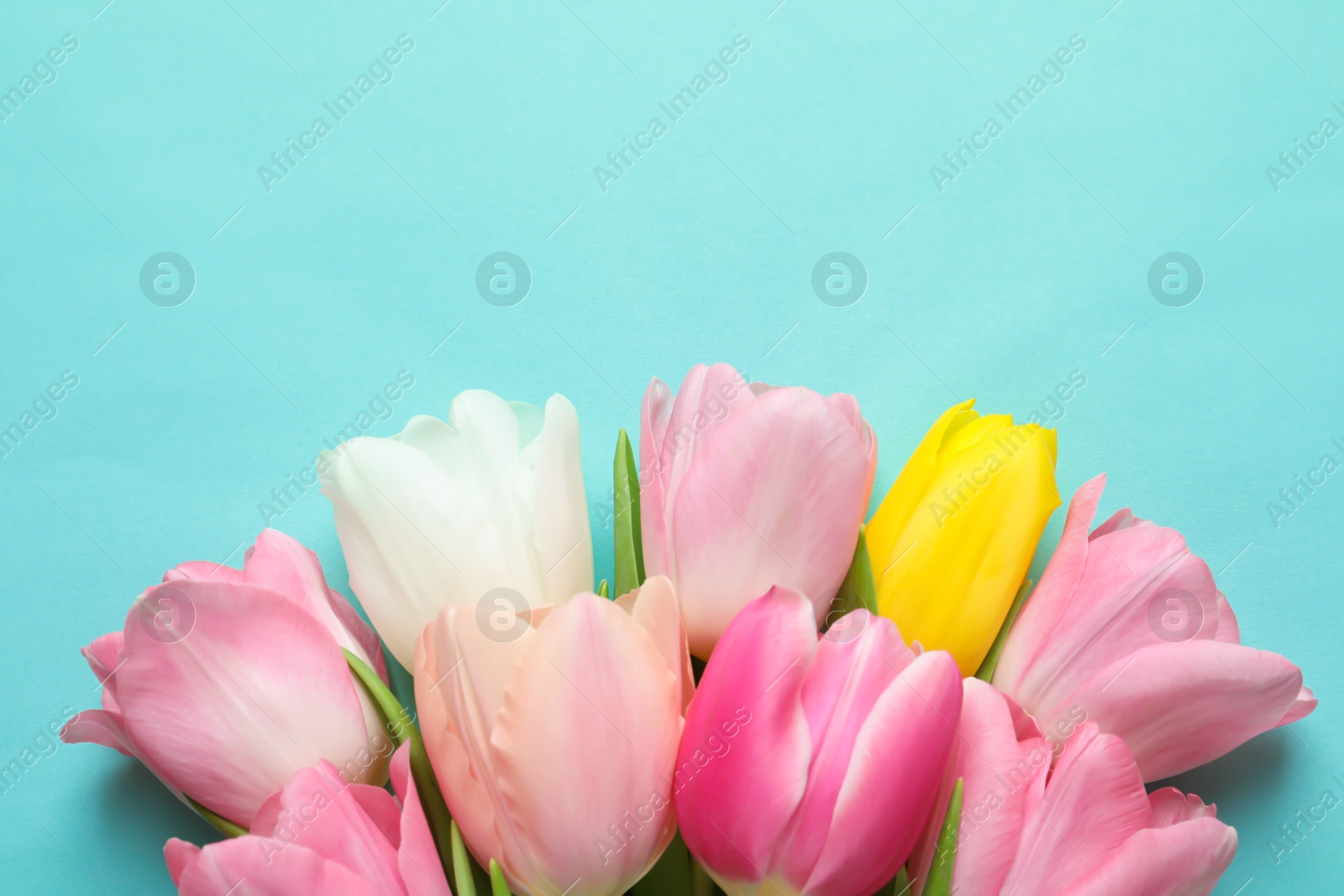 Photo of Spring tulips on color background, top view. International Women's Day