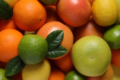 Photo of Different fresh citrus fruits and leaves as background, top view