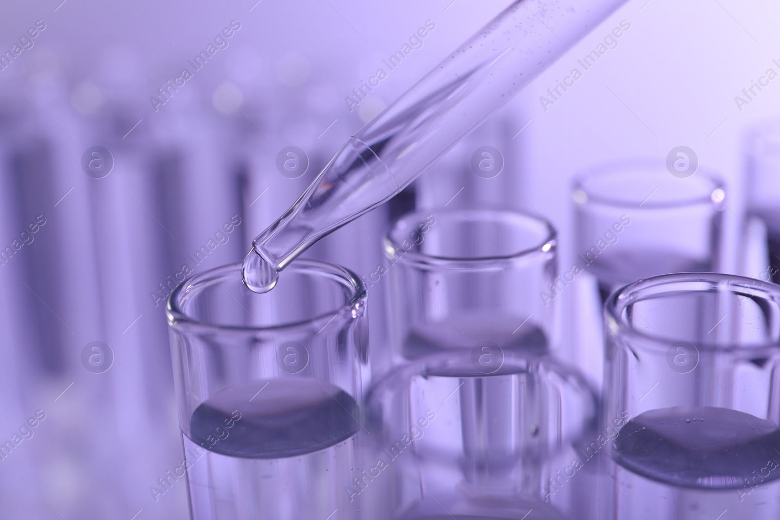 Photo of Dripping liquid from pipette into test tube on violet background, closeup