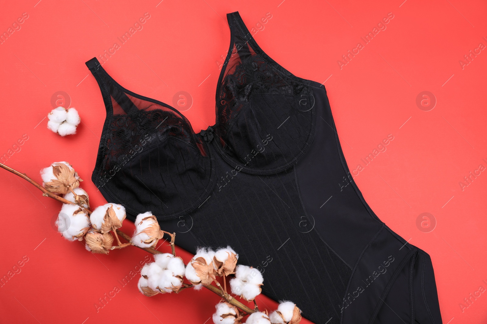 Photo of Elegant plus size black women's underwear and cotton flowers on coral background, flat lay