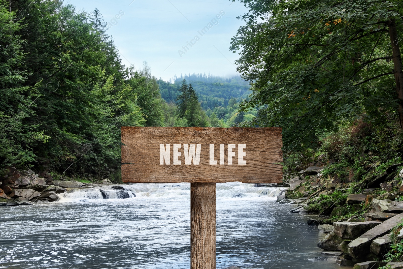 Image of Start to live without alcohol addiction. Wooden signpost with inscription NEW LIFE near wild mountain river