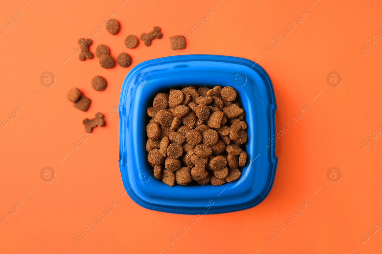 Photo of Dry pet food in feeding bowl on orange background, flat lay