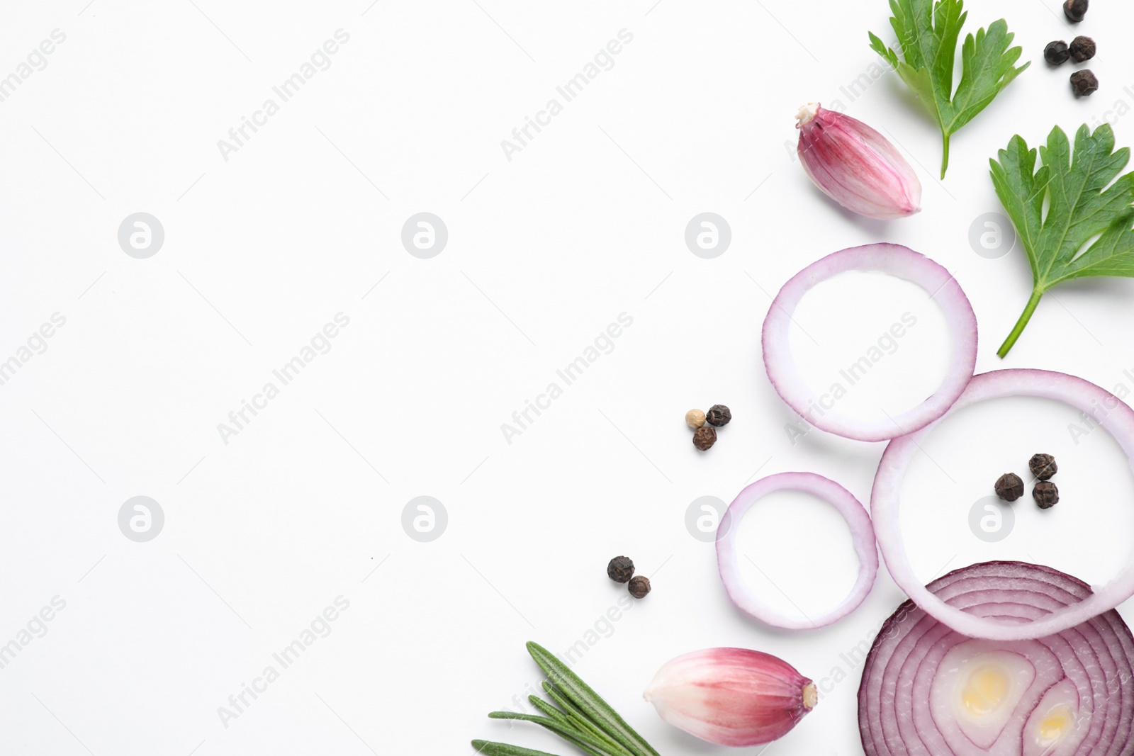 Photo of Flat lay composition with cut onion and spices on white background