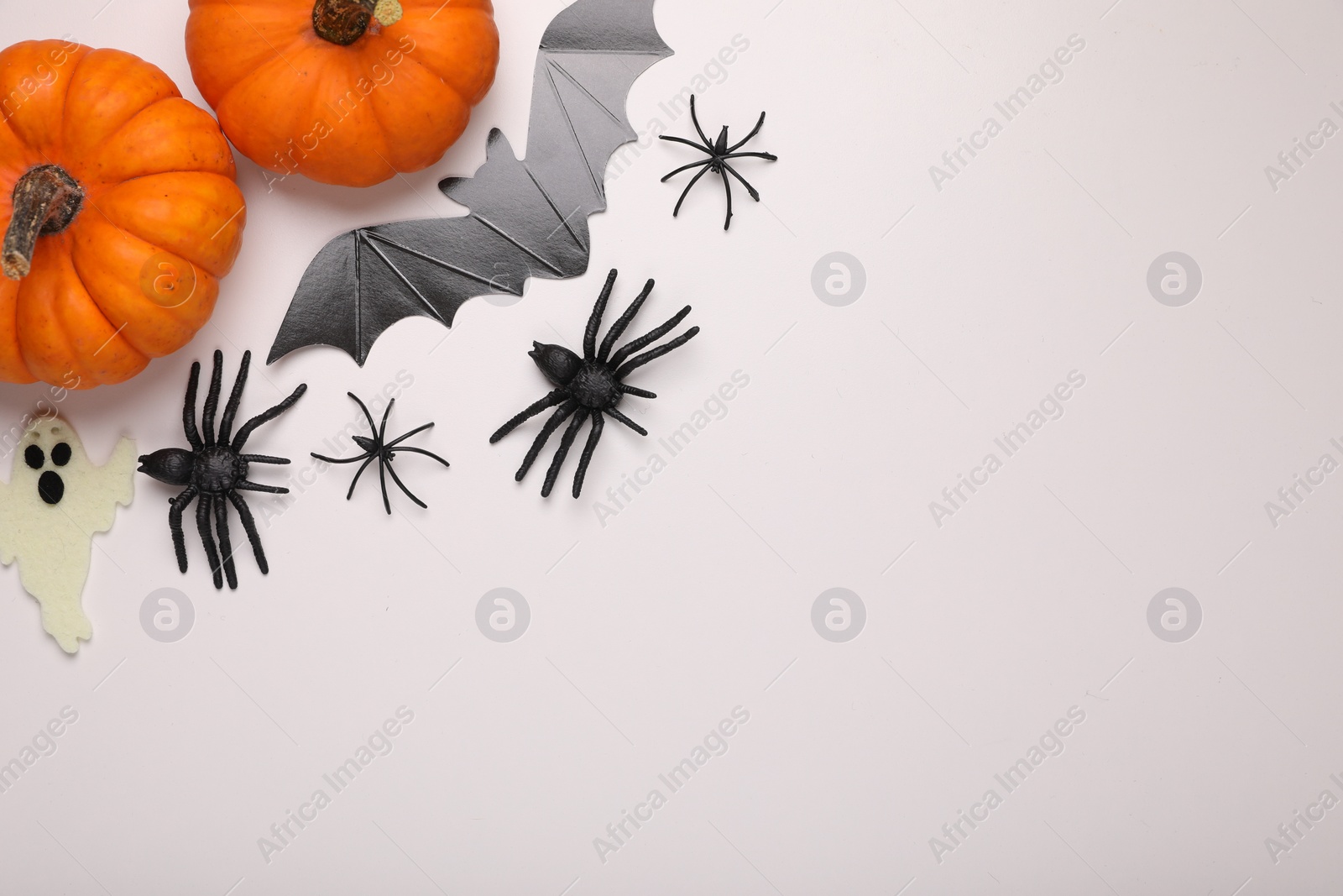 Photo of Flat lay composition with pumpkins and spiders on white background, space for text. Halloween celebration