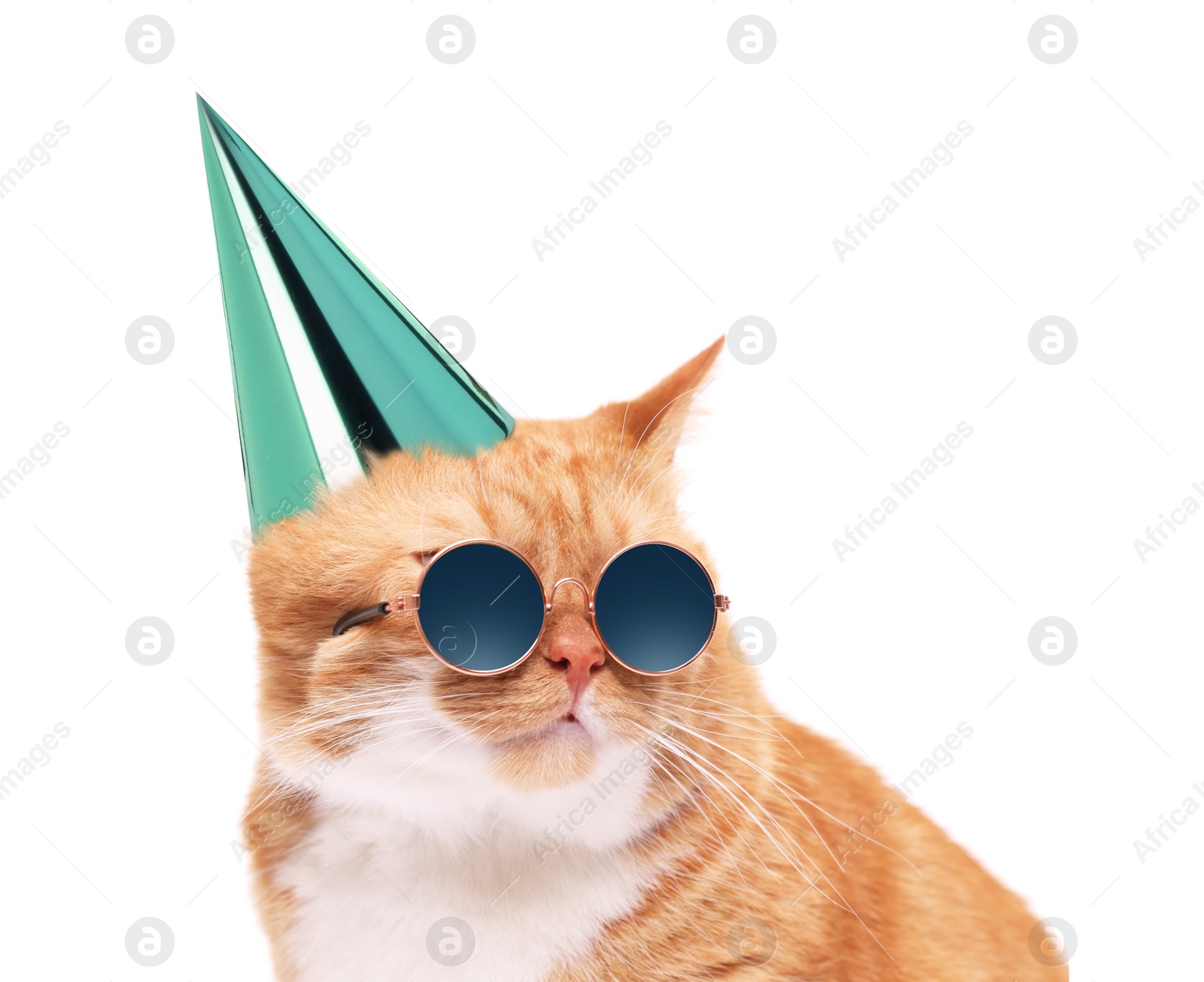 Image of Cute cat with party hat and sunglasses on white background