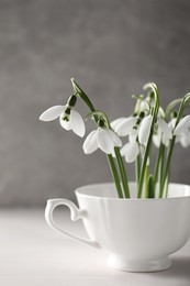 Photo of Beautiful snowdrop flowers in cup on white wooden table