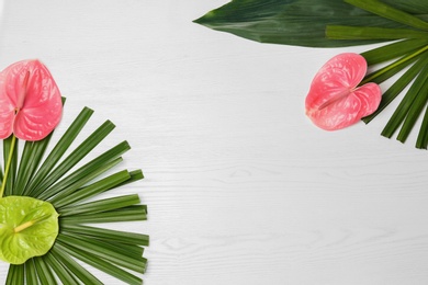 Creative composition with anthurium flowers and tropical leaves on white background