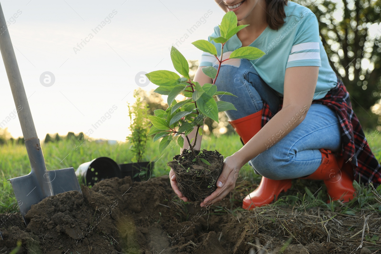 Photo of Young woman planting tree in countryside, closeup