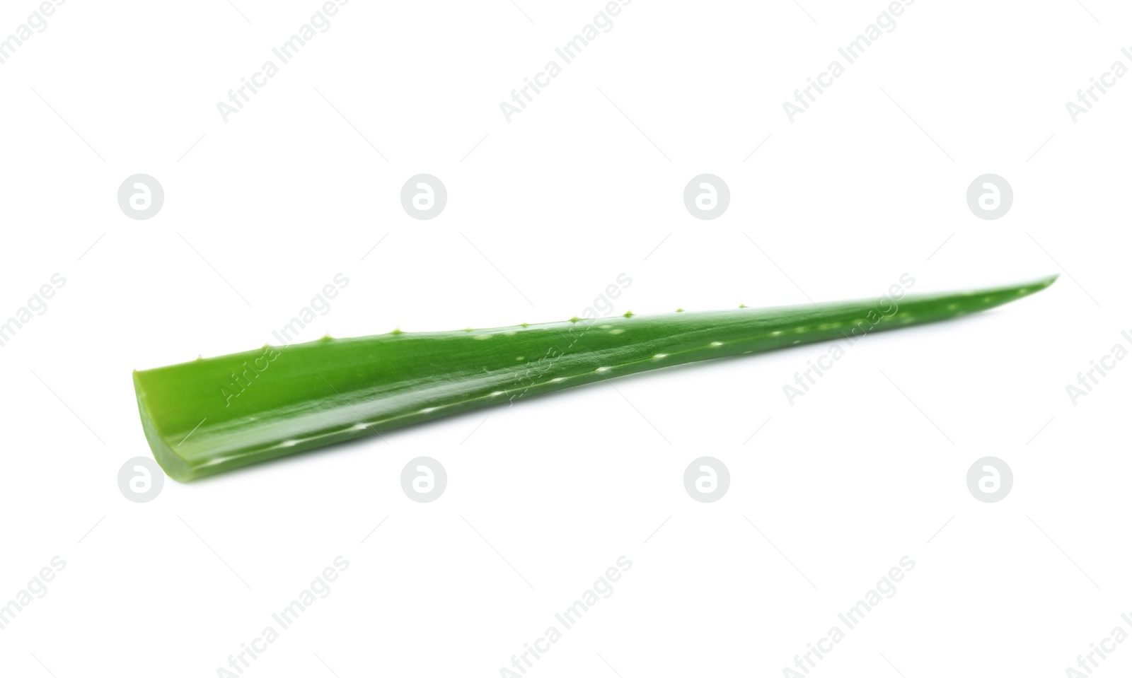 Photo of Aloe vera leaf on white background