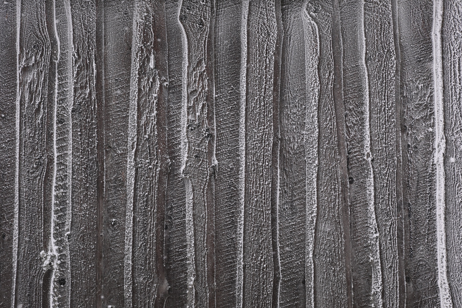 Photo of Wooden wall covered with hoarfrost on snowy day, closeup