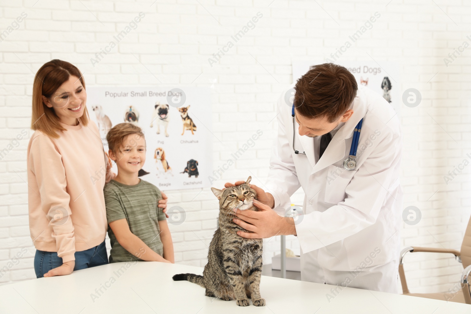 Photo of Mother and son with their pet visiting veterinarian in clinic. Doc examining cat