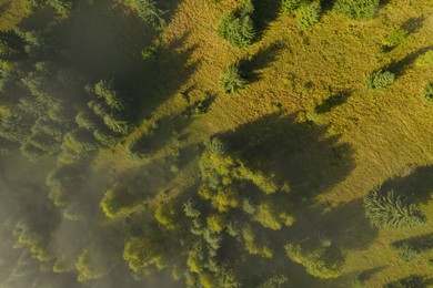 Aerial view of beautiful landscape with misty forest 