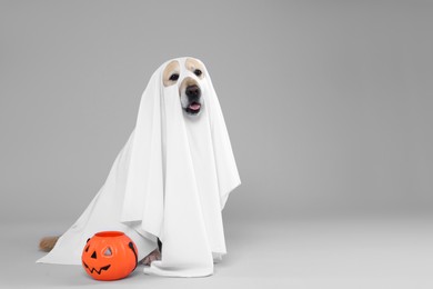 Photo of Cute Labrador Retriever dog wearing ghost costume with Halloween bucket on light grey background. Space for text