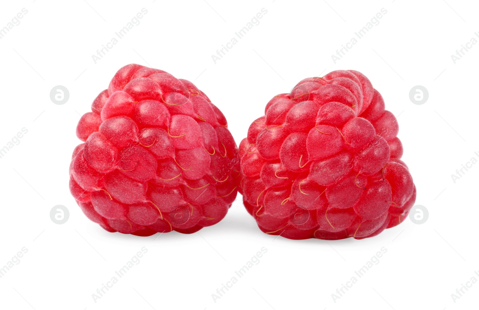 Photo of Two tasty ripe raspberries isolated on white