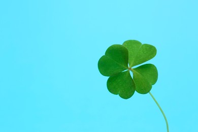 Beautiful green four leaf clover on light blue background. Space for text