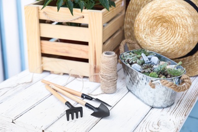 Gardening tools, plants and straw hat on white wooden table, closeup
