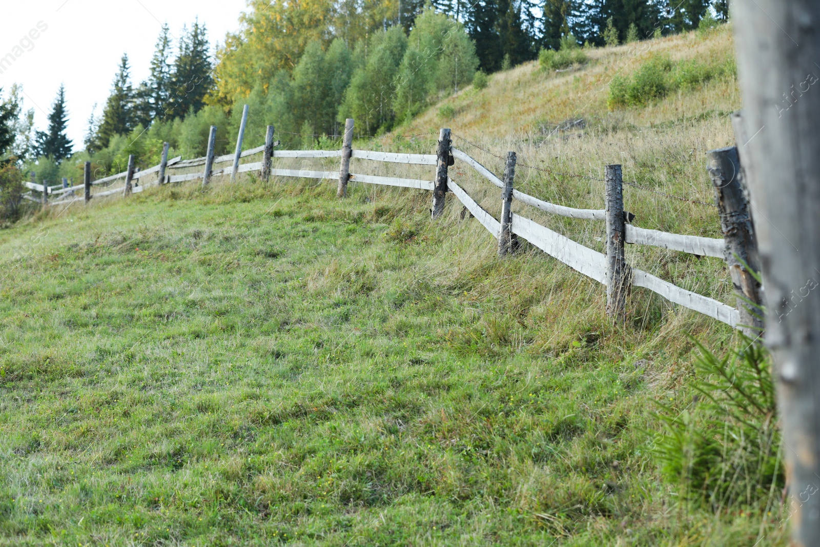 Photo of Beautiful countryside view with wooden fence and different trees outdoors