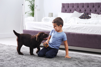 Photo of Little boy playing with puppy in bedroom. Friendly dog
