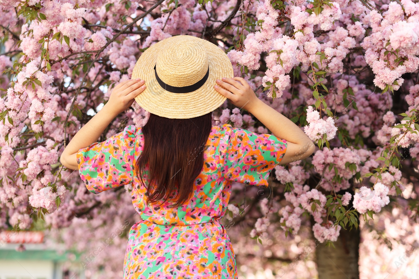 Photo of Woman in straw hat near blossoming tree on spring day, back view
