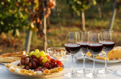 Red wine and snacks served for picnic on white wooden table outdoors