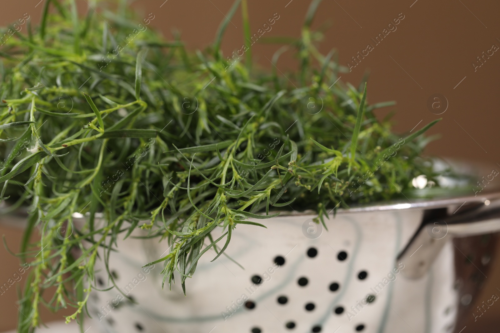 Photo of Fresh tarragon leaves in metal colander, closeup