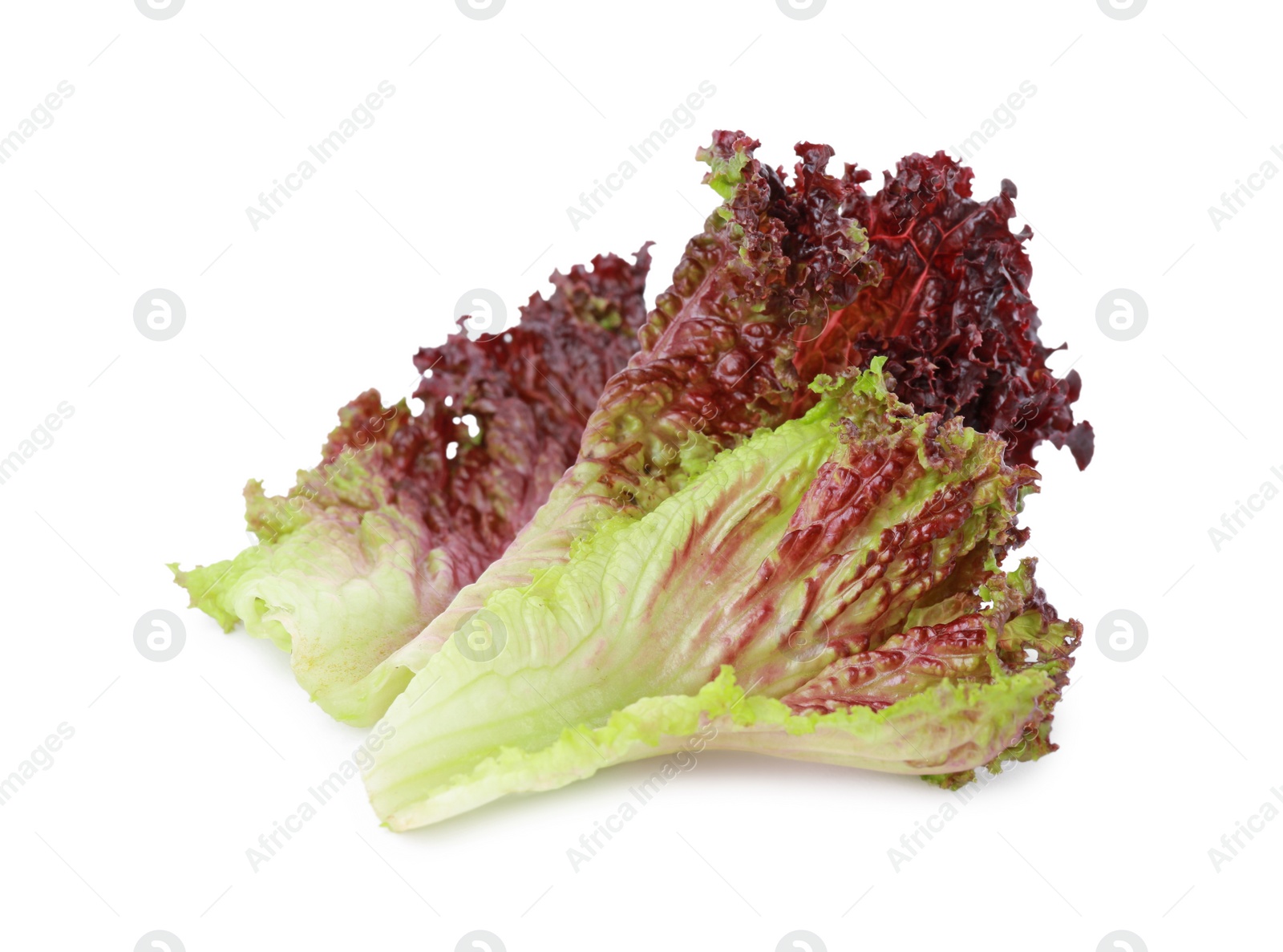 Photo of Leaves of fresh red coral lettuce isolated on white