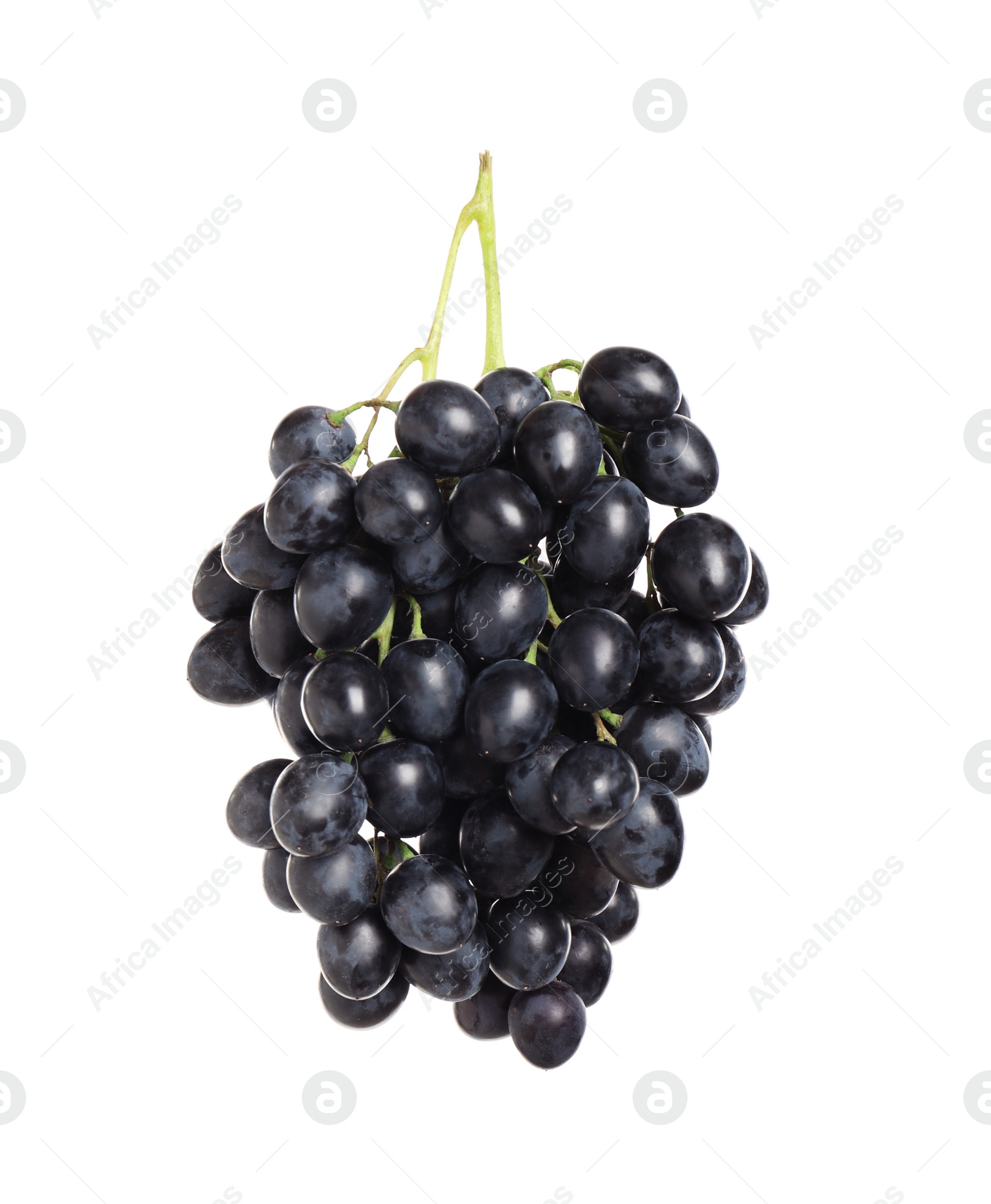 Photo of Bunch of fresh ripe juicy dark blue grapes isolated on white