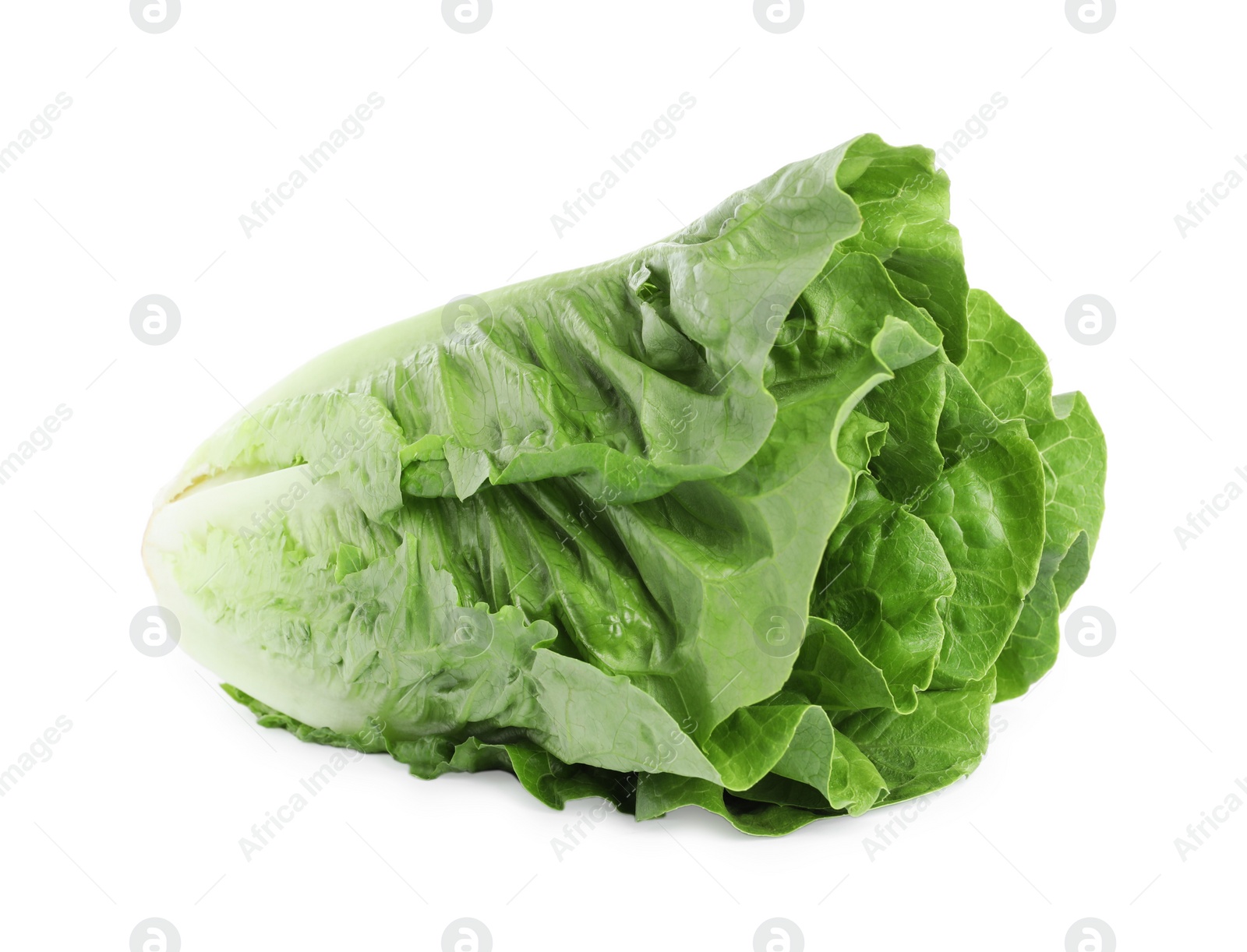 Photo of Fresh green romaine lettuce isolated on white