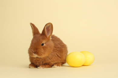 Photo of Adorable fluffy bunny near Easter eggs on yellow background