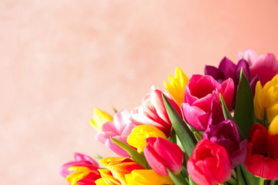 Beautiful spring tulips on light pink background, closeup. Space for text