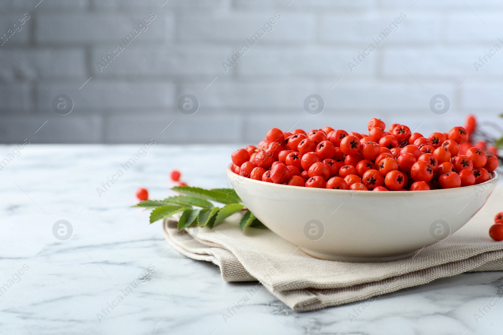 Photo of Fresh ripe rowan berries in bowl on white marble table, space for text