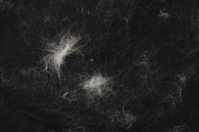 Photo of Pet hair on black fabric, top view