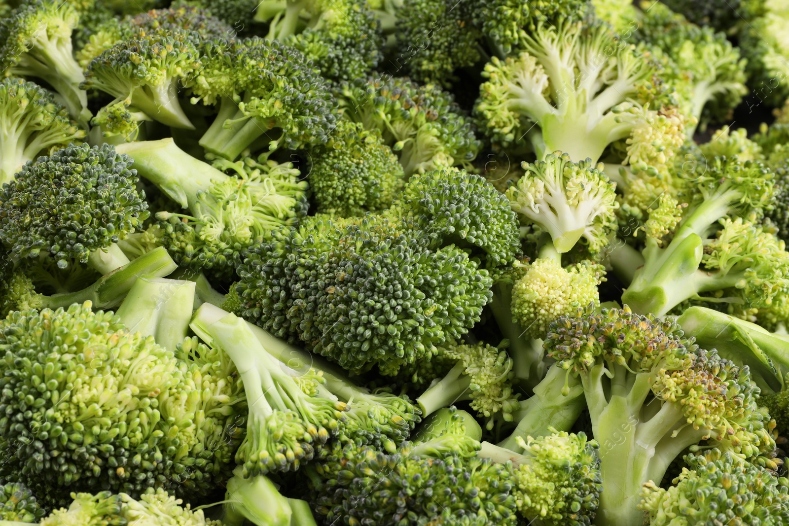 Photo of Fresh raw broccoli as background, closeup view