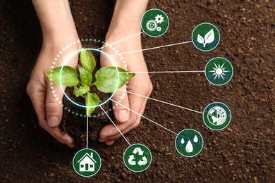 Image of Modern technology in agriculture. Woman with green seedling and icons, top view