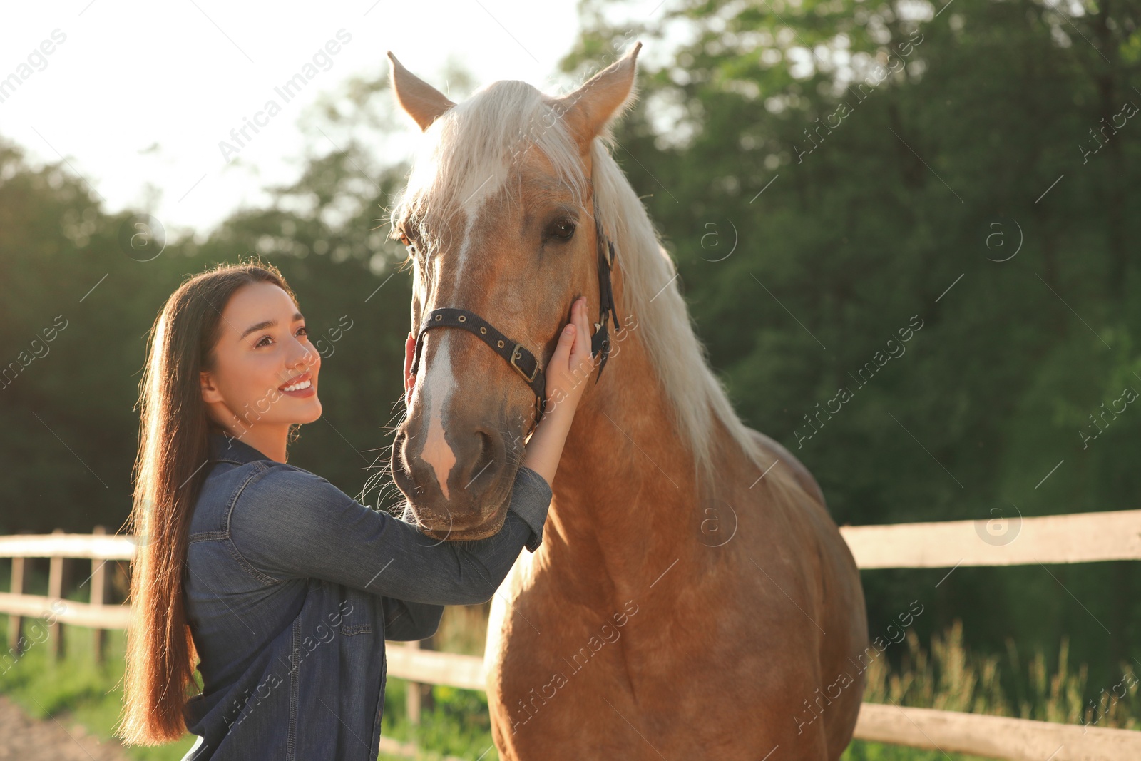 Photo of Beautiful woman with adorable horse outdoors on sunny day. Lovely domesticated pet