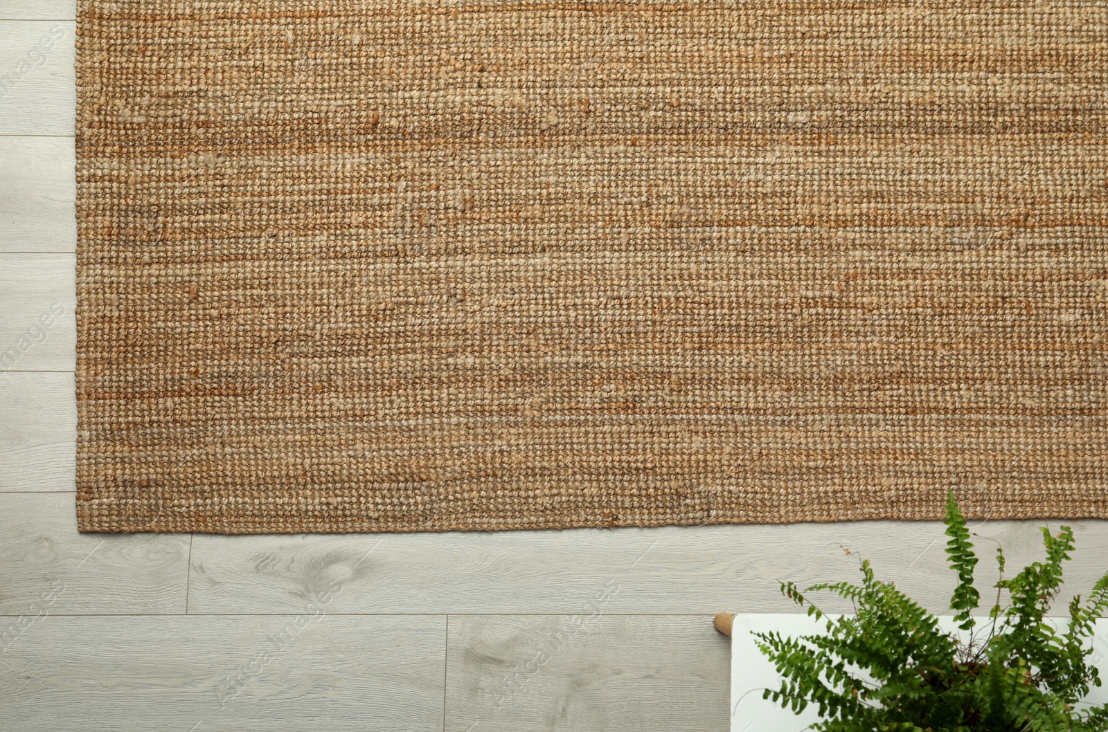 Photo of Beige carpet on wooden floor, top view