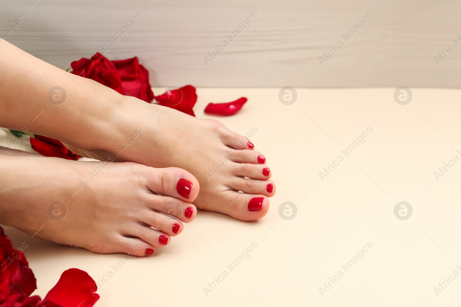 Photo of Woman with stylish red toenails after pedicure procedure and rose petals on beige background, closeup. Space for text